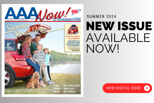 AAA Now! Summer Issue 2024
